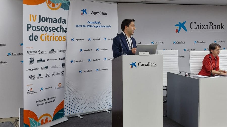 Xavier Parra Citrosol.jpg